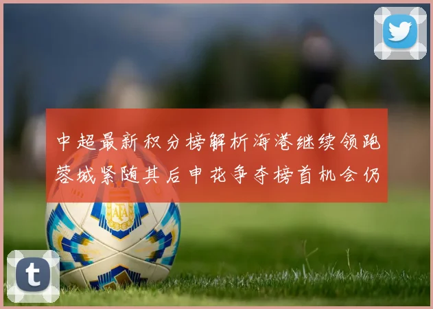 中超最新积分榜解析海港继续领跑蓉城紧随其后申花争夺榜首机会仍在
